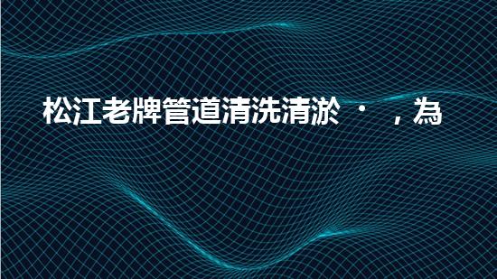 松江老牌管道清洗清淤，為何報價不一？
